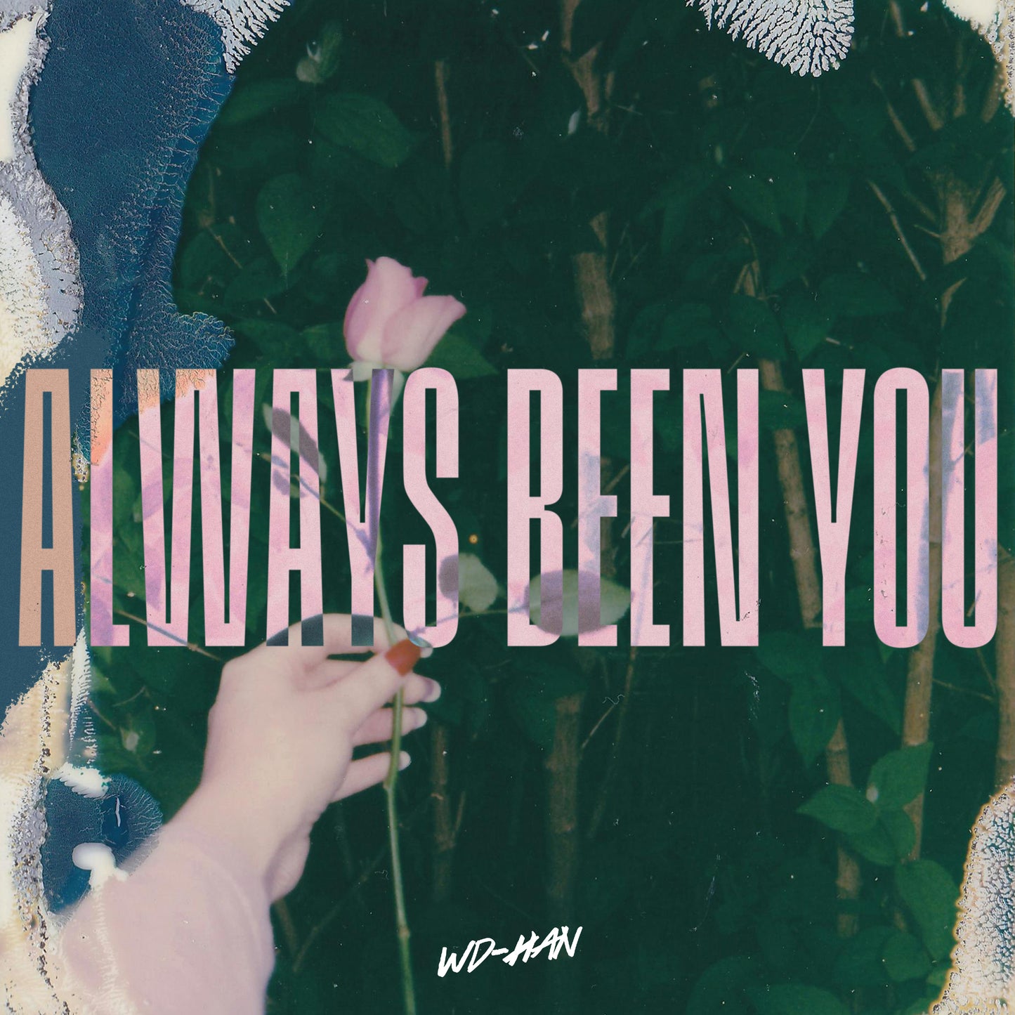 Always Been You - Digital Download